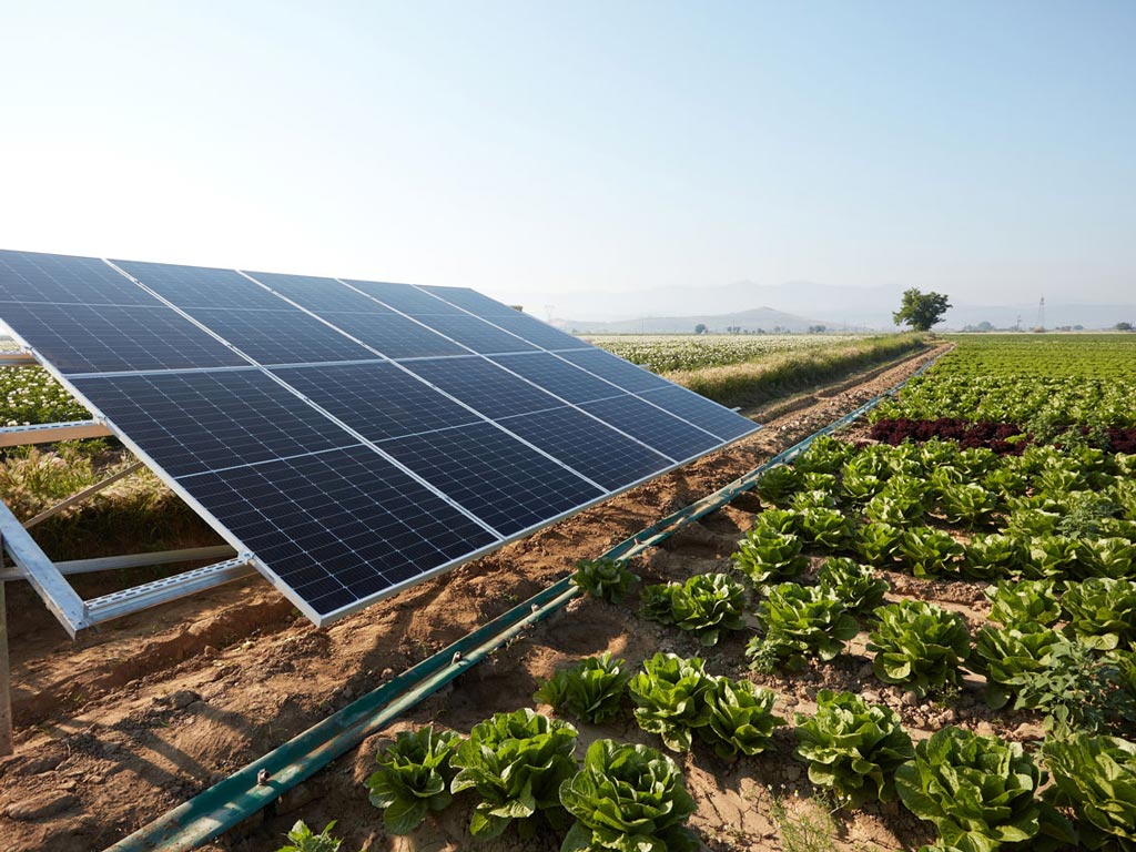 fotovoltaico agricolo